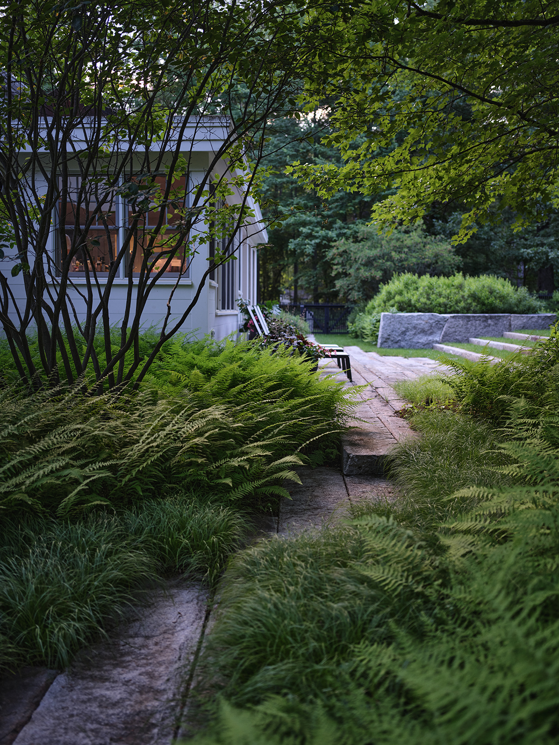 How To Rewild Your Yard