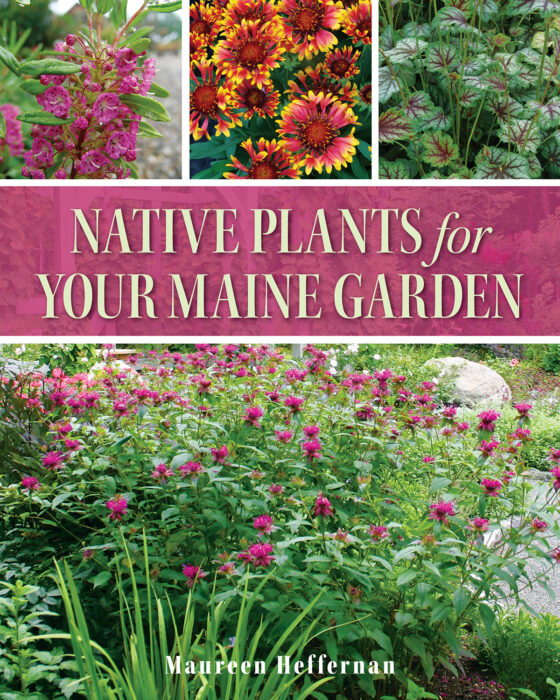 Maine garden experts explain how to rewild your yard maine home design