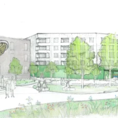 Saccarappa Park Illustration